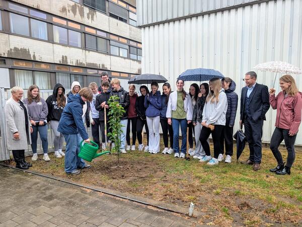 Bild vergrößern: PM2025_112 Bäume pflanzen mit dem Herder-Gymnasiums